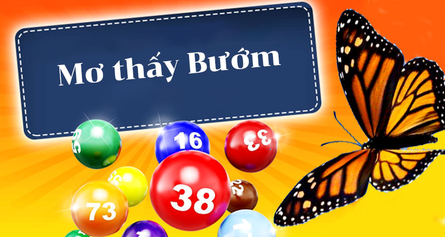 mo thay buom